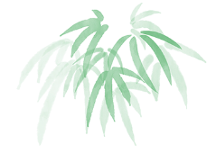 青年夜校 | “扇”遇非遗：传统工艺与青春创意的双向奔赴:工艺扇